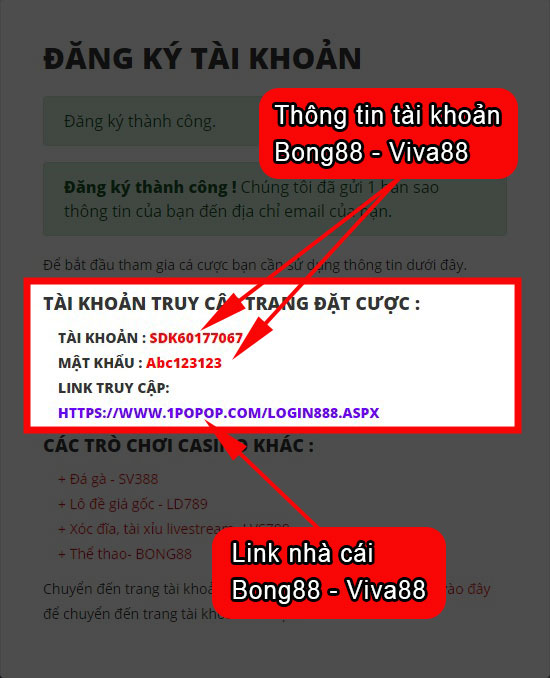 Thông tin tài khoản Bong88 - Viva88