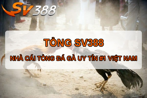 Tổng SV388 – Nhà cái đá gà SV388 uy tín số #1 Việt Nam